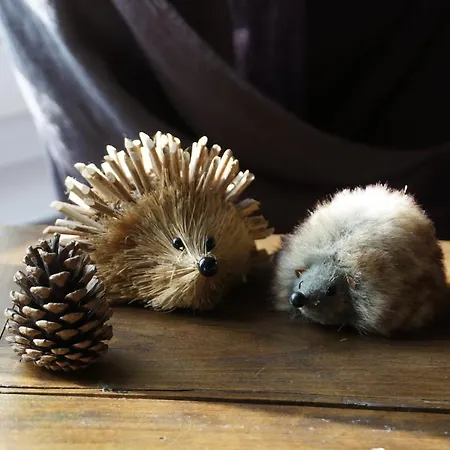 Apartment Gite La Chancellerie Château-Thierry